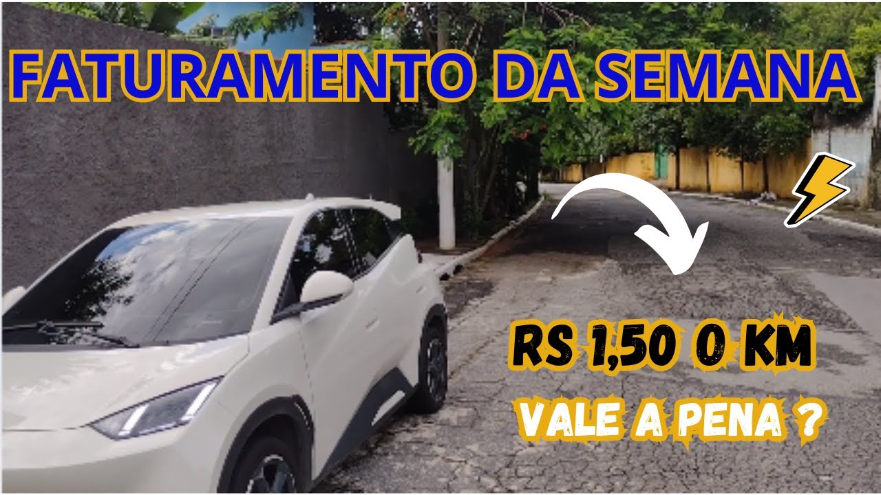 🚨 BYD DOLPHIN MINI FECHAMENTO 2° SEM. JANEIRO 2026 deu RUIM 😭 ? ( VEJA O RESULTADO CARRO ELÉTRICO )