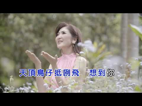 蔡茗淇   鳥仔抵咧飛    官方完整版MV(卡拉版)【KTV導唱字幕】