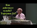 Как действует судьба? Торсунов О.Г.