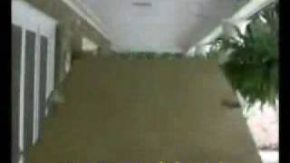 Antonio Nunes Com A Tabua. .Wmv