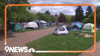 Legal expert weighs in on college campus protests