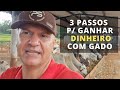 OS 3 PASSOS QUE PECUARISTAS DE SUCESSO FAZEM PARA GANHAR DINHEIRO COM GADO.