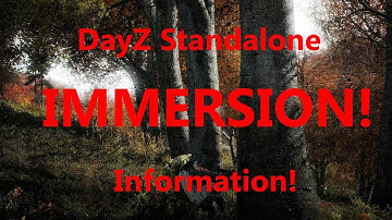 DayZ Standalone: Degrading Items, Dean Hall Interview