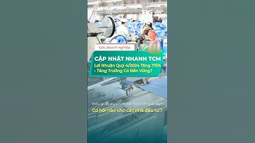 Cổ phiếu TCM lợi nhuận tăng 175% – Cơ hội đầu tư hay chỉ là hiệu ứng tỉ giá? | FIG Invest