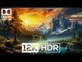 Brilliant Colors, Deeper Contrast: Dolby Vision HDR 12K 60 FPS Showcase