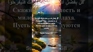 📖 Аяты Корана с переводом на русский язык #quran #quranrecitation #islamicscripture #islamiccontent
