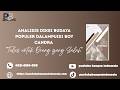 Analisis Diksi Budaya Populer dalamPuisi Boy Candra “Tulus untuk Orang yang Salah”