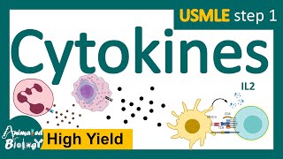 Cytokines | subclasses of cytokines | functions of cytokines | USMLE step 1