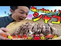 【超特大】小樽前浜産特大シャコは、エビの贅沢な甘みと、カニの濃厚なコク【子持ちシャコ】