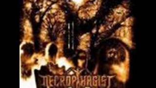 Download Lagu Necrophagist - Pseudopathological Vivisection MP3