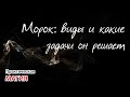 Морок: виды и какие задачи он решает