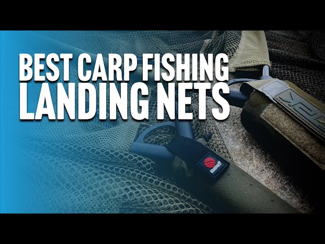 Best Budget Compact Carp Landing Nets 