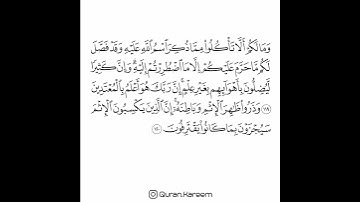 القارئ سعد الغامدي - سورة الأنعام - من الآية 119 إلى الآية 120
