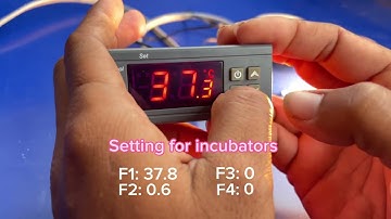 How to setup incubator yourself very cheap incubator STC 1000 incubator functions setup