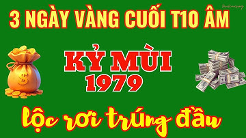 Kỷ Mùi 1979 - 3 Ngày Vàng Cuối Tháng 10 Âm: THẦN TÀI DẪN LỐI! Tiền Đổ Về Như Mưa Dào, Viên Mãn