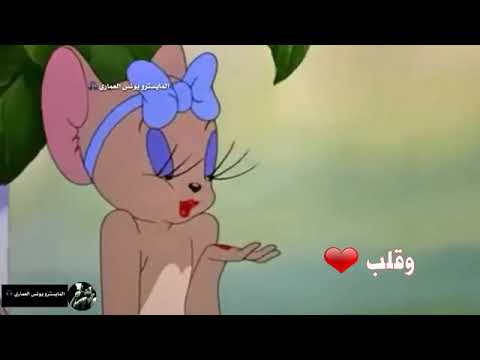 ورده حمراء قلب الحب