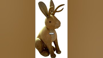 Does This Fallout Cryptid Actually Exist?