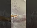Цена поклейки фрески 🔥