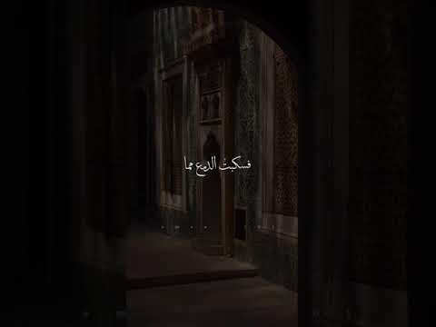 لملمينا من شتات يحتوينا واسألي البيت الحزين هل لقيت ڪما لقينا