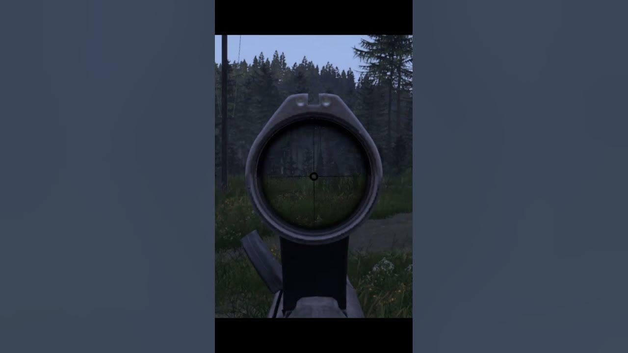 DayZ Beginners Guides How To ADS Aim Down Sight, Switch Scopes & Fire