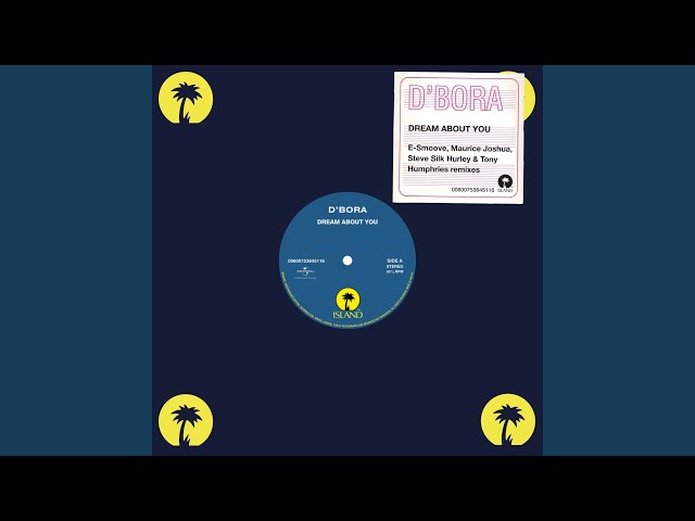 Dream About You (Tony Humphries' 12" Mix)