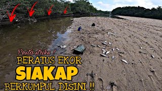 Download Lagu STRIKE SIAKAP NON STOP DI SATu SPOT SAHAJA! l Saltwater stream fishing  MP3