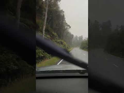 windy dreamy road in rain