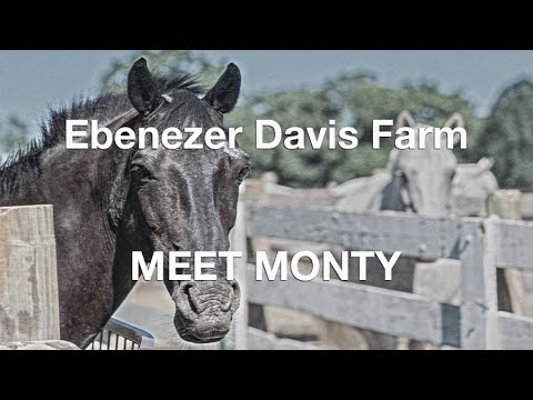 255 Davis Road, Bedford, MA home video tour
