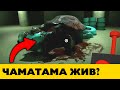 Что случилось с Чаматамой — Разоблочаю популярный Фейк по Garten of Banban 3