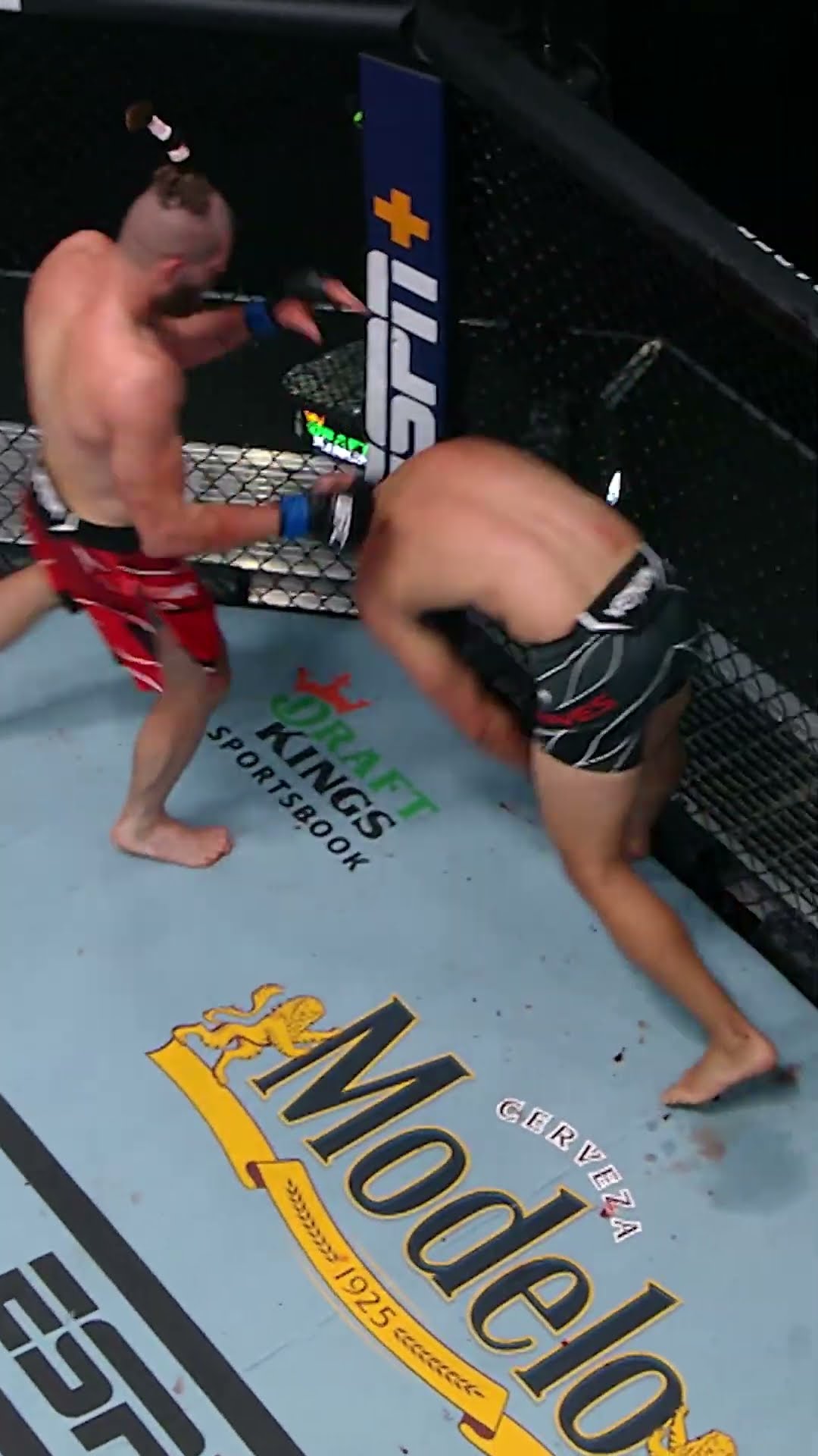 Jiri Prochazka put him to SLEEP ? #ufc311