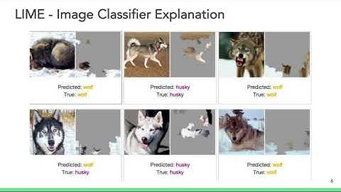 Explainable AI, Session 4: Intro to LIME