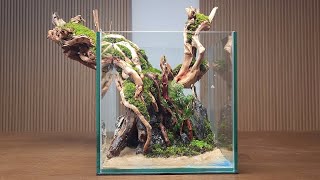 Transcend Limits, Making a Tree PassThrough a Glass Wall, Dream of a Tree in a Terrarium