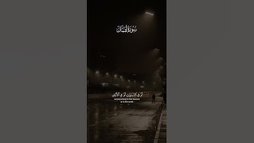 عمر بن ضياء الدين - سورة لقمان | يابني انها ان تك مثقال حبة من خردل #قران #آية #تلاوة_خاشعة #تلاوه