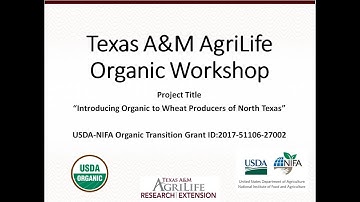 Entomopathogenic Nematode Studies for Control of Corn Rootworm by Drs. Pat Porter and Ed Bynum