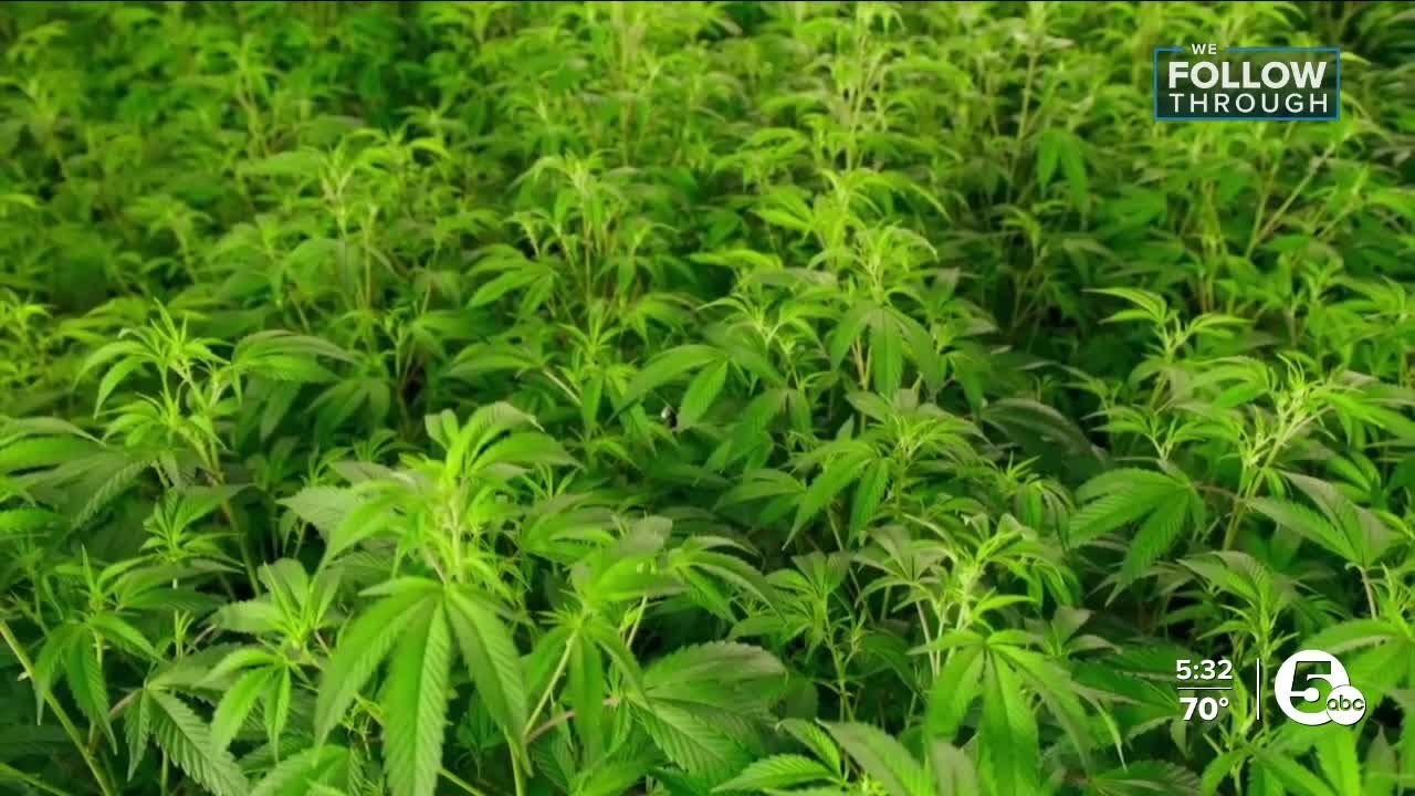 Recreational weed sales could start as soon as August, seriously. Here's why.