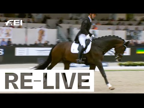 RE-LIVE | Qualification 7yo horses - FEI WBFSH Dressage World Breeding Championship for Young Horses