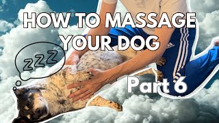 How to Massage Your Dog - Part 6 - Full Body Massage