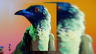 flume & may-a ~ say nothing (slowed!)