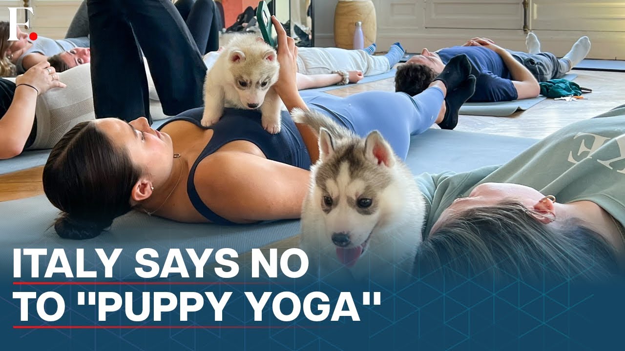 Italy Bans “Puppy Yoga” Classes Citing Health Concerns