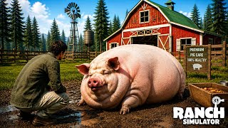 This Pig Got Very Huge | Ranch Simulator #7