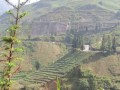Cycling to Amazing Sa Pa in North Vietnam on a Thorn Raven Tour