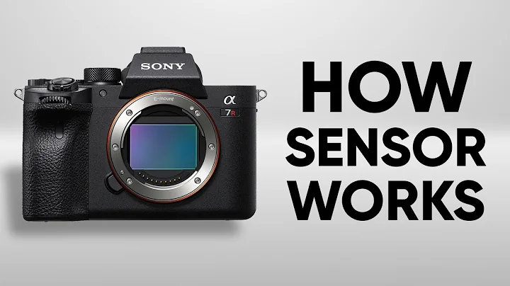 How Camera Sensor Works | Camera Sensor Explained - DayDayNews