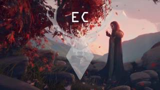 Bloom - Efflorescence