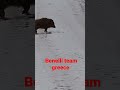 Benelli team greece