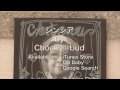 シンシア by Chocky@bud