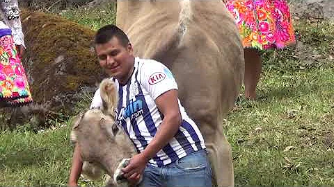 LOS MENSAJEROS DE TRANCAPAMPA Rafael Ventura LA PA...