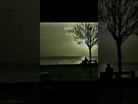 عمرو دياب ساعت الفراق متلومش حد علي الي قالو