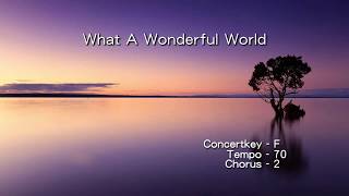 Miniatura de "What A Wonderful World ( Louis Armstrong V ) - ( C instrument )"