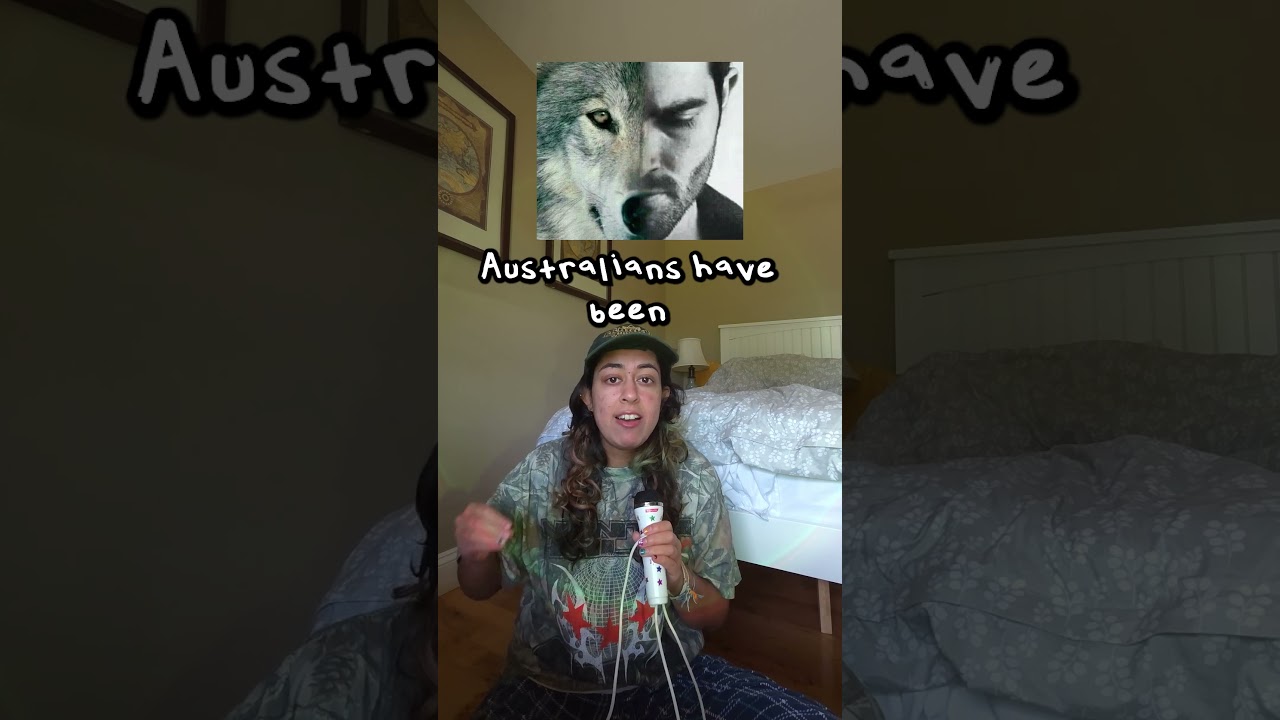Dingoes scare me 😔 #funny #storytime #comedy