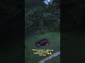 #jungle🪵#forest🏕🏞#katy perry🎶🎤#nature lovers ✌️♥️#find peace😌👍#harmony🎶✨️#YT short▶️#go viral👍#trend